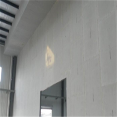 连山宁波ALC板|EPS加气板隔墙与混凝土整浇联接的实验研讨